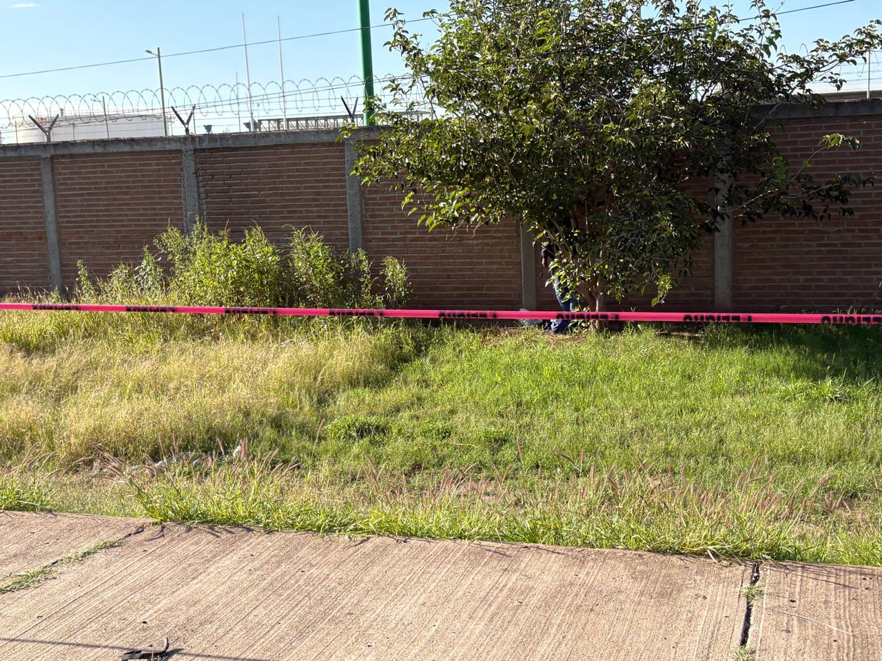 WhatsApp Image 2025-10-01 at 9.57.43 AM