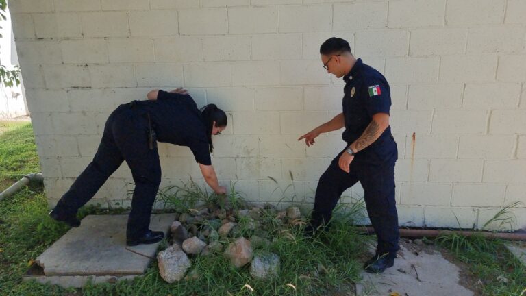 WhatsApp Image 2025-10-03 at 9.50.26 AM