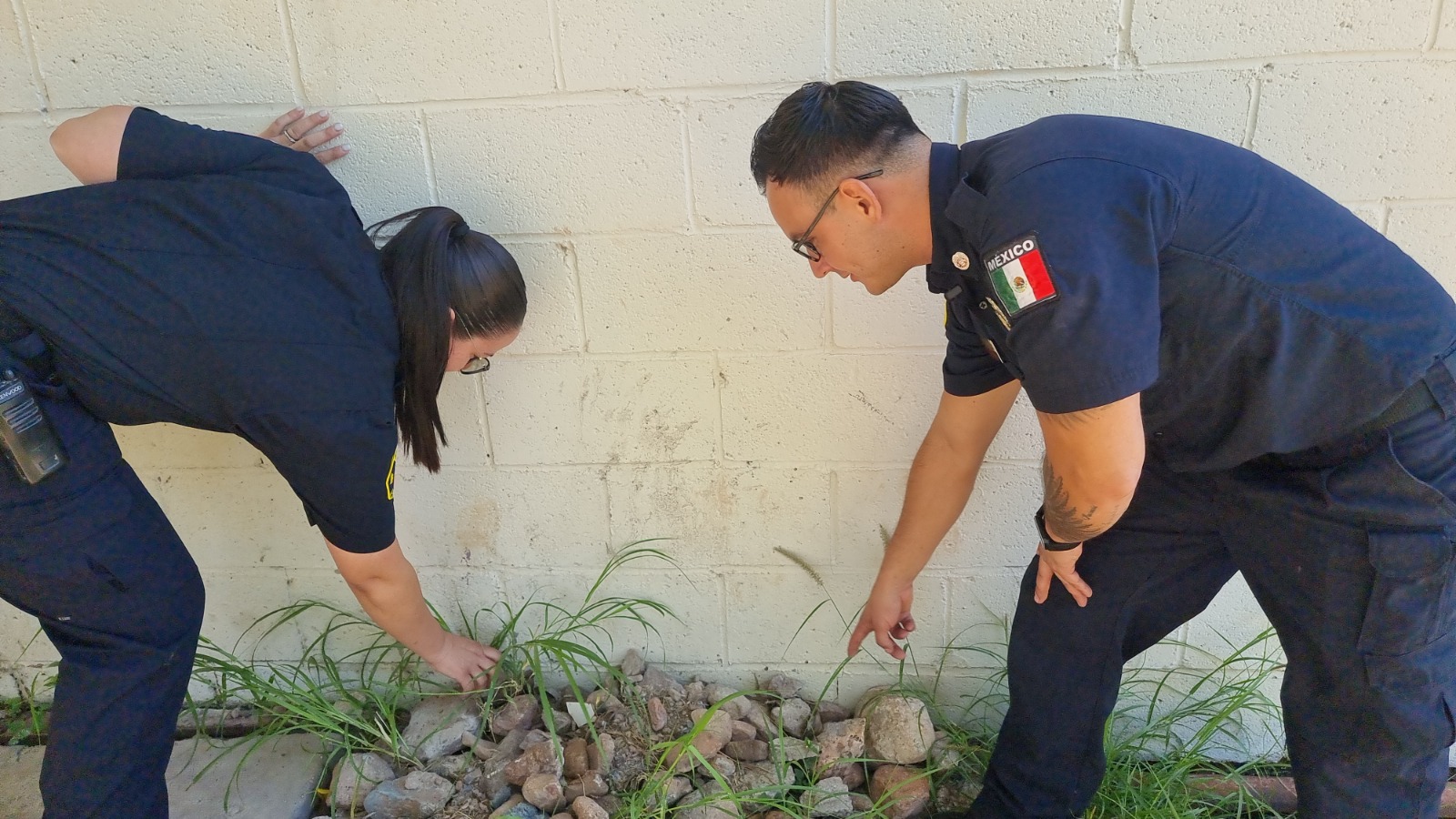 WhatsApp Image 2025-10-03 at 9.50.50 AM