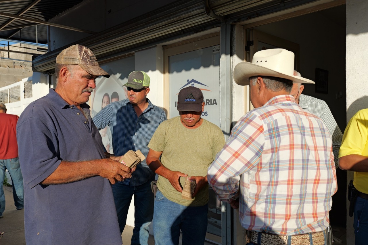 WhatsApp Image 2025-10-03 at 9.56.16 AM