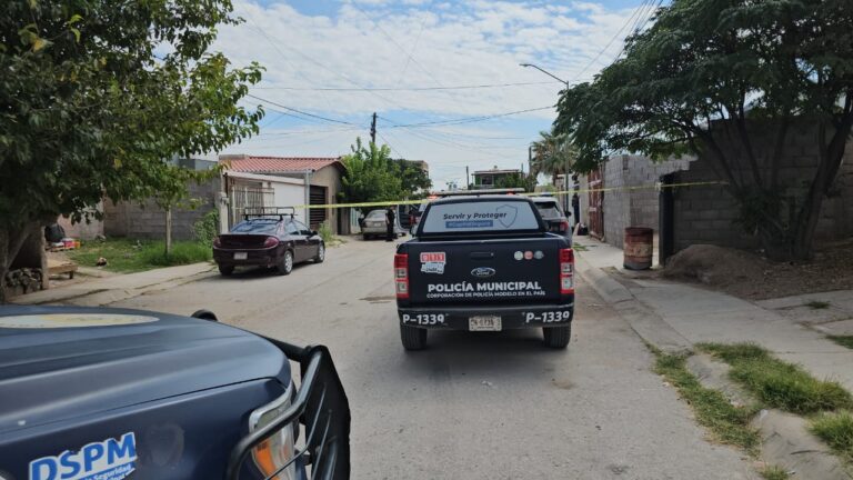 WhatsApp Image 2025-10-06 at 1.10.10 PM (1)