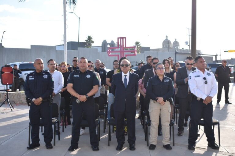 WhatsApp Image 2025-10-06 at 1.34.19 PM