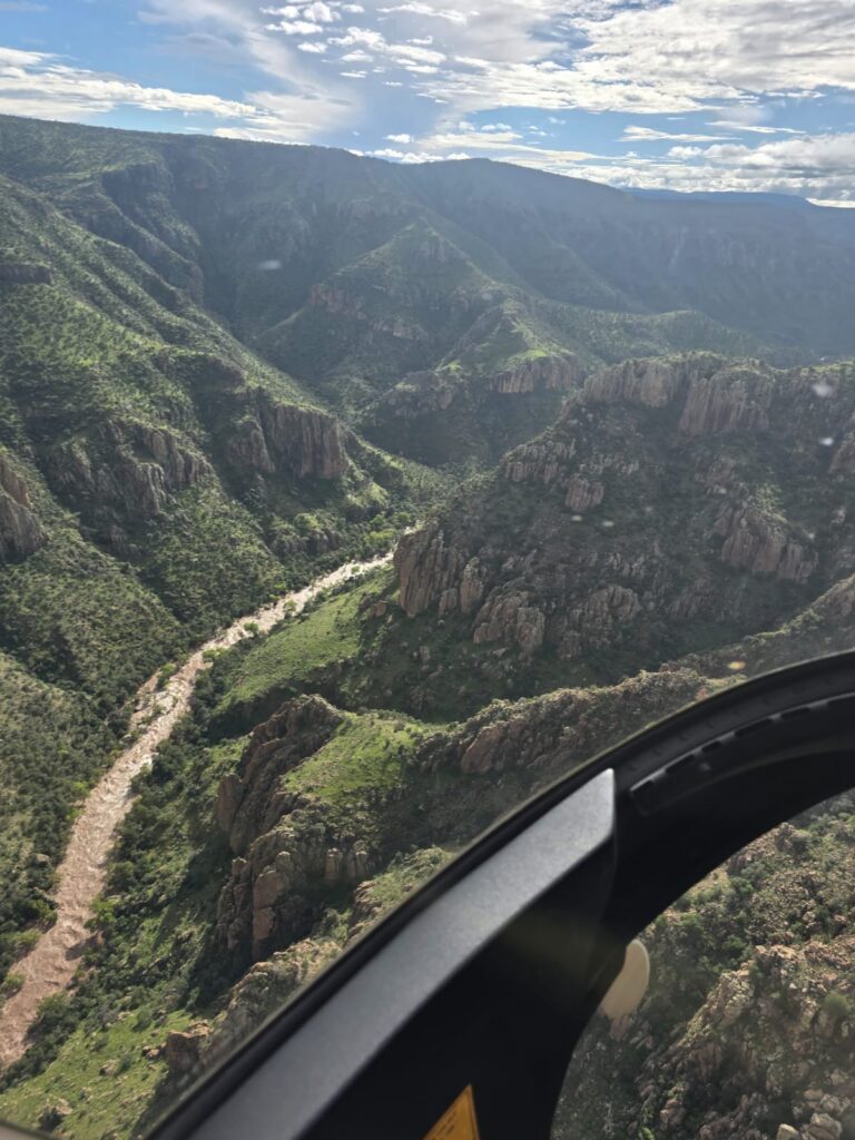 WhatsApp Image 2025-10-06 at 12.27.21 PM