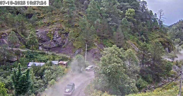 WhatsApp Image 2025-10-07 at 12.47.11 PM