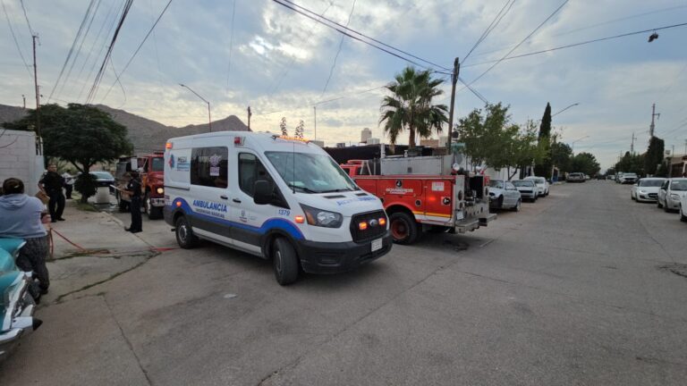 WhatsApp Image 2025-10-07 at 9.02.36 AM