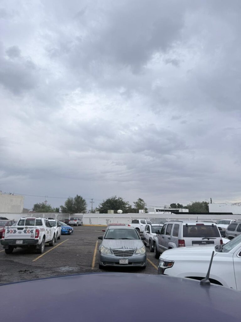 WhatsApp Image 2025-10-08 at 12.32.14 PM