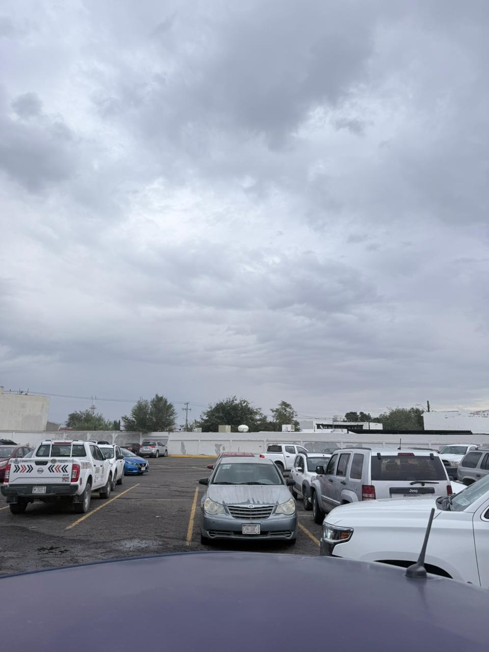 WhatsApp Image 2025-10-08 at 12.32.14 PM