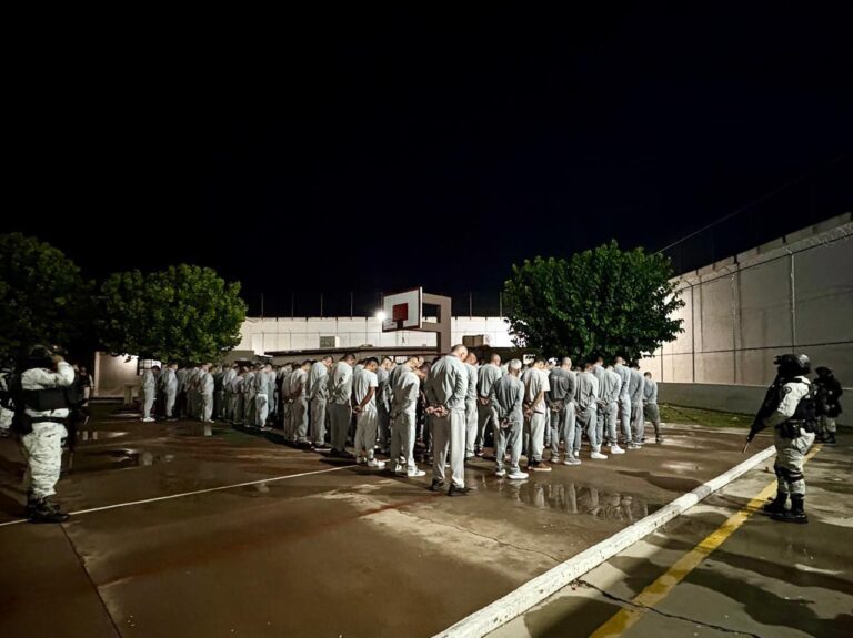 WhatsApp Image 2025-10-08 at 8.58.43 AM