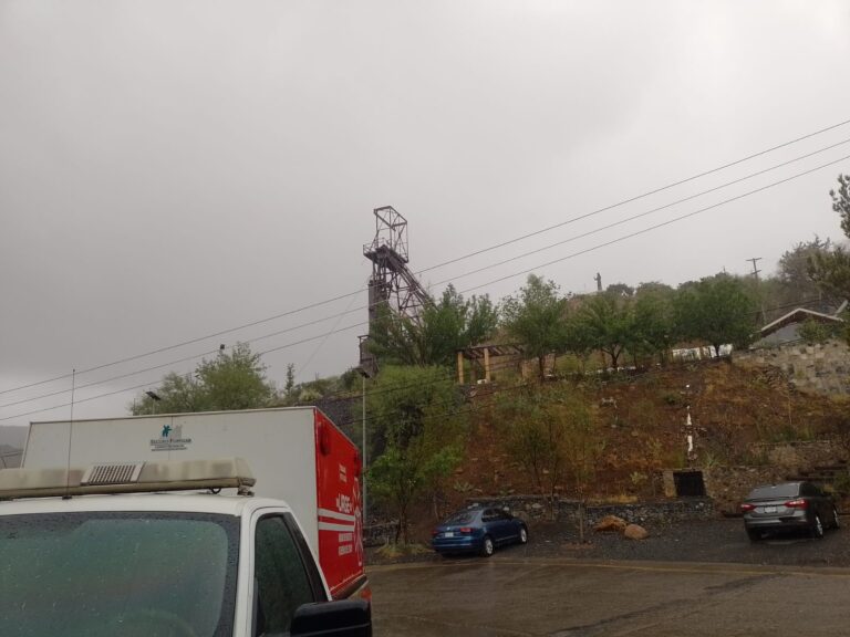 WhatsApp Image 2025-10-09 at 10.37.42 AM