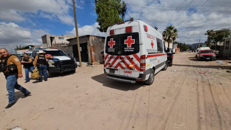 WhatsApp Image 2025-10-09 at 12.18.42 PM