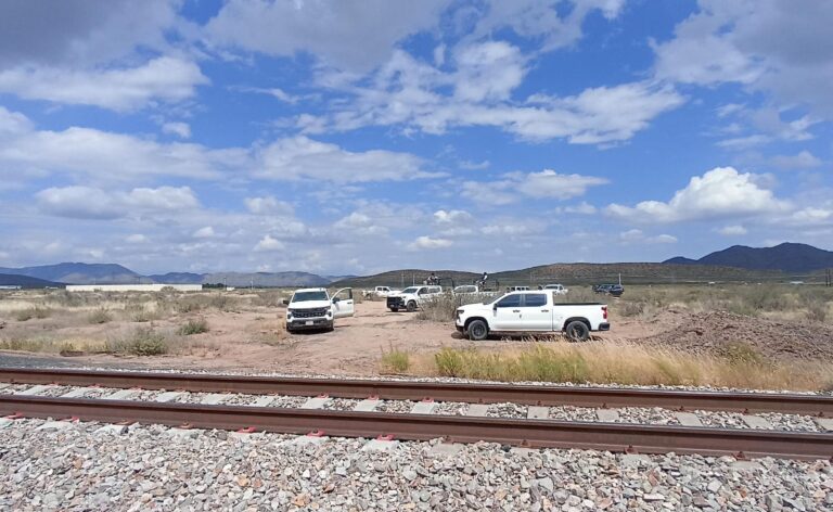 WhatsApp Image 2025-10-09 at 12.44.36 PM