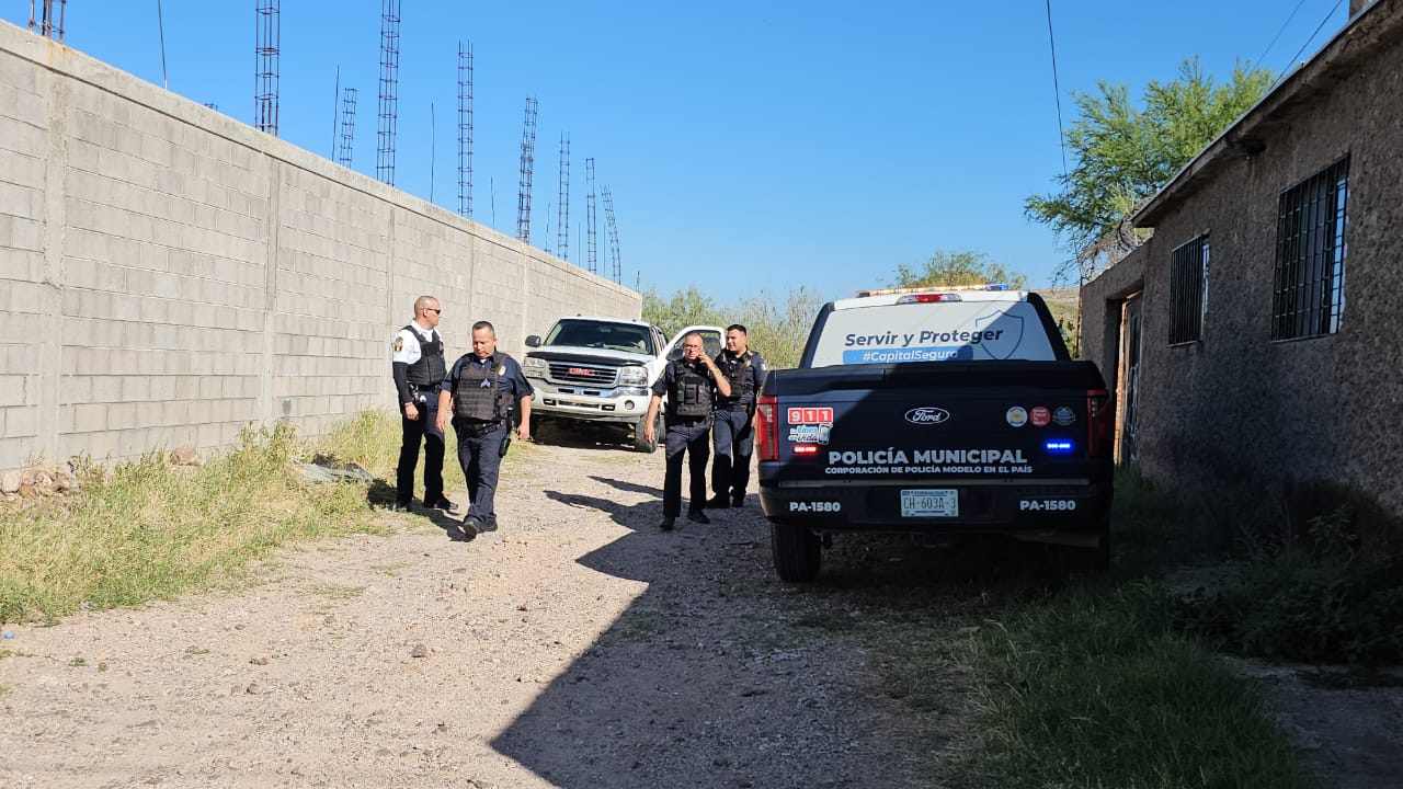 WhatsApp Image 2025-10-10 at 10.09.21 AM