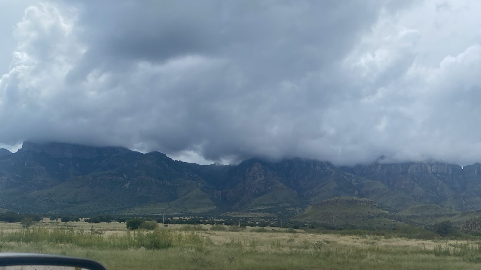 WhatsApp Image 2025-10-10 at 11.36.20 AM