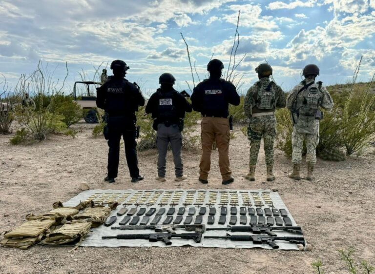 WhatsApp Image 2025-10-10 at 11.46.15 AM