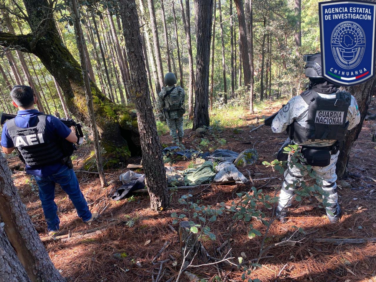 WhatsApp Image 2025-10-10 at 12.45.59 PM