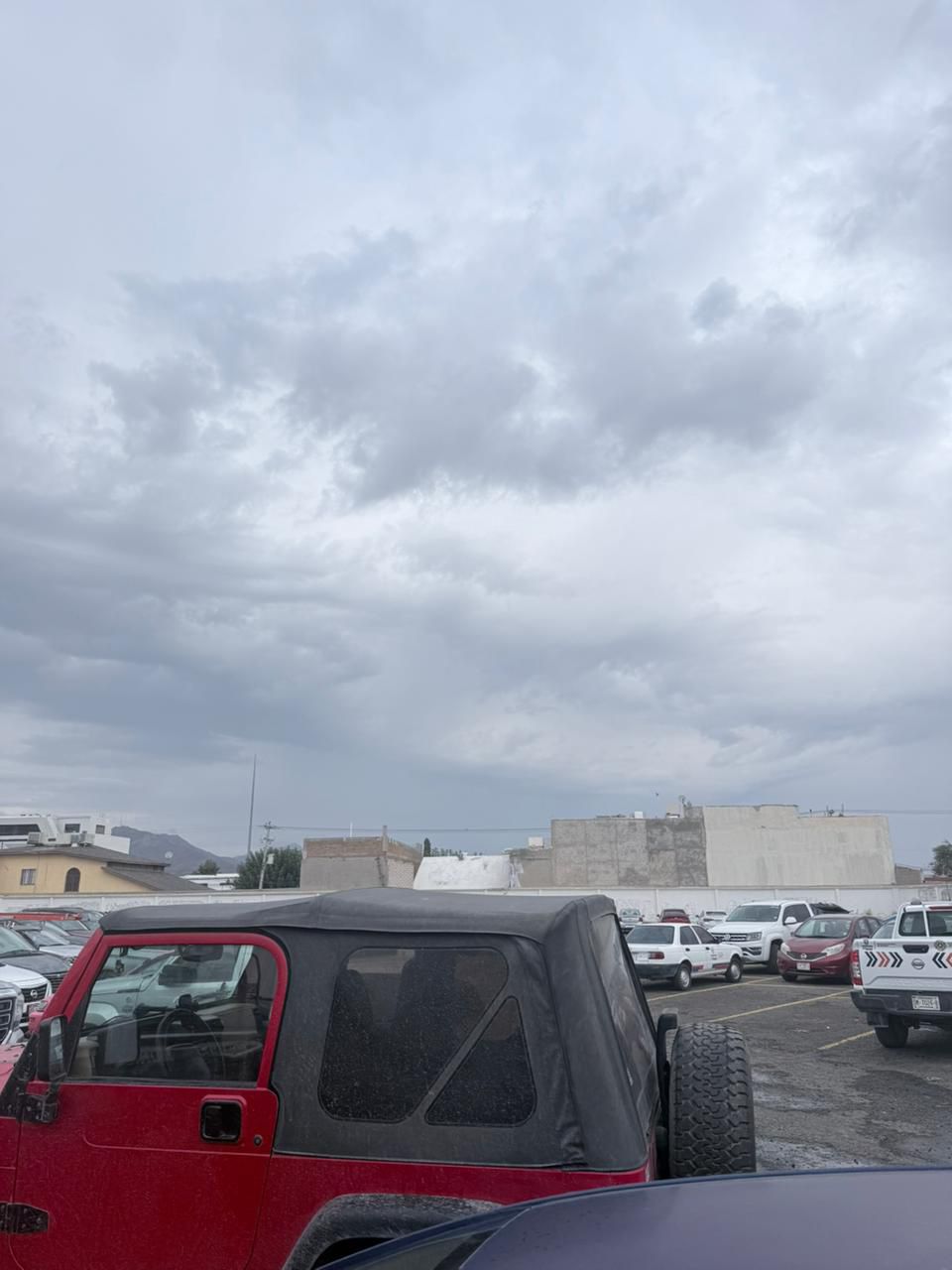 WhatsApp Image 2025-10-11 at 1.33.37 PM