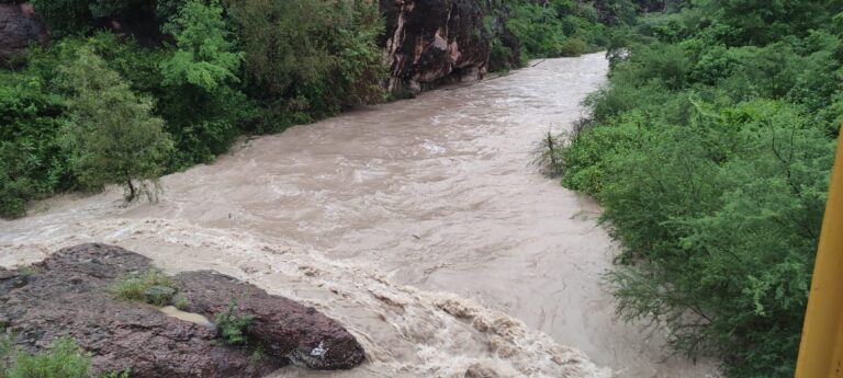 WhatsApp Image 2025-10-12 at 11.35.59 AM