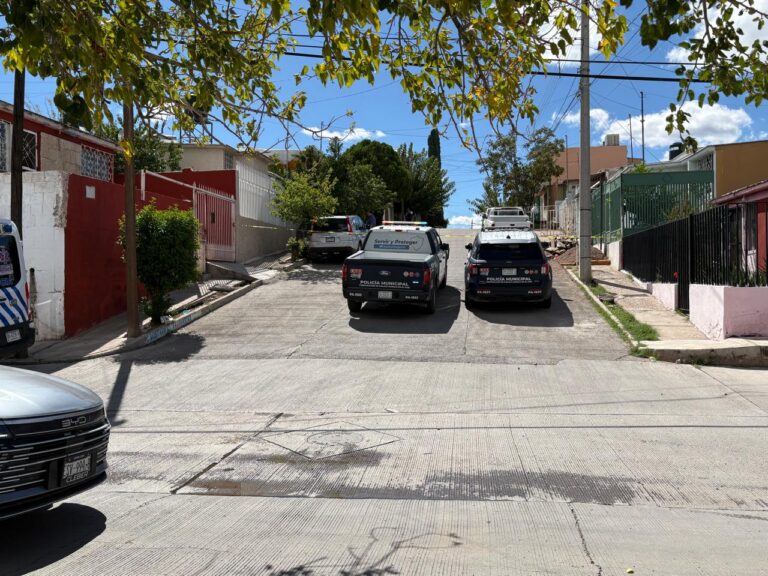 WhatsApp Image 2025-10-13 at 1.27.50 PM