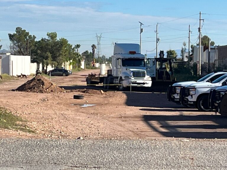 WhatsApp Image 2025-10-13 at 9.48.38 AM