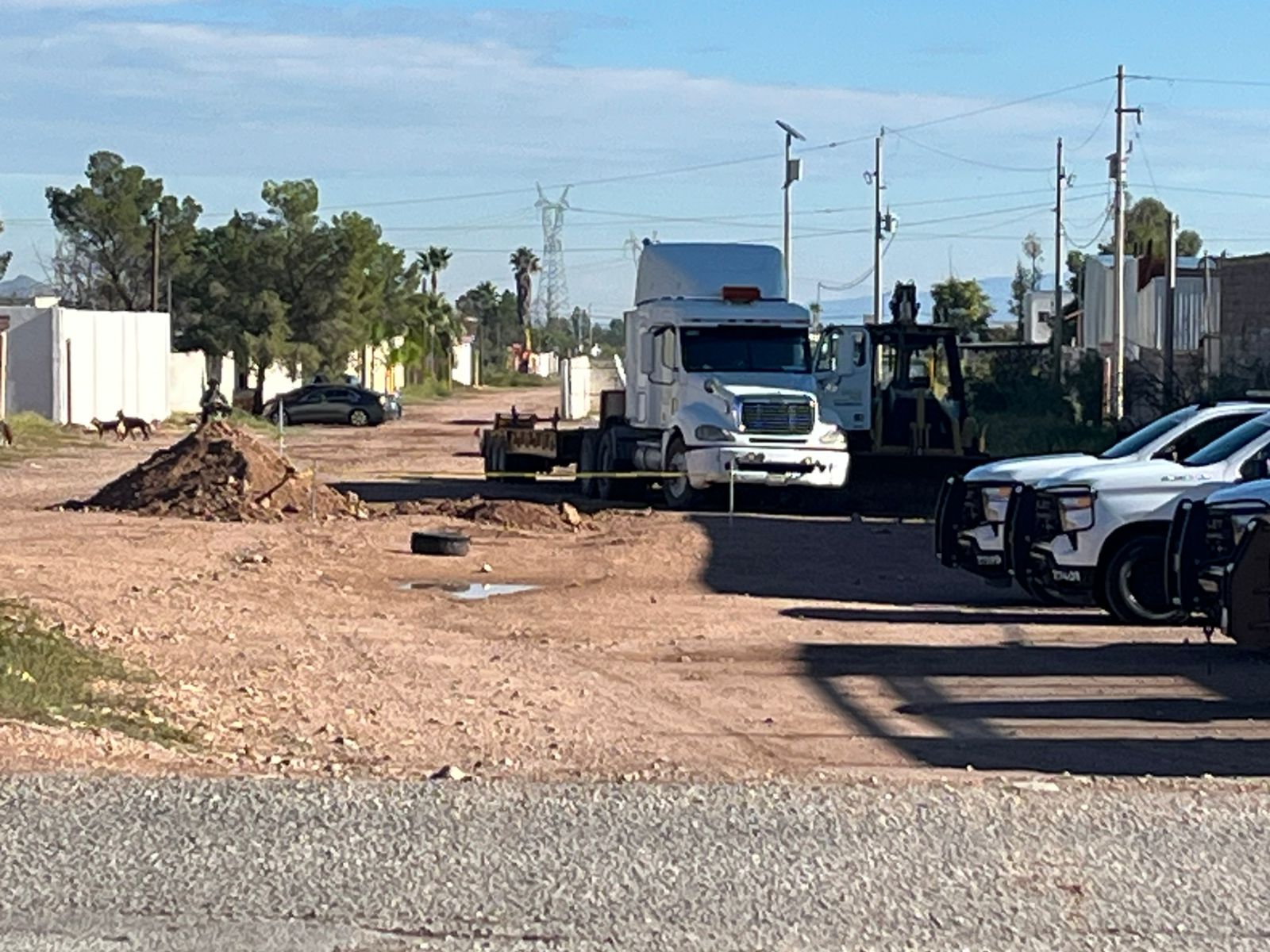 WhatsApp Image 2025-10-13 at 9.48.38 AM