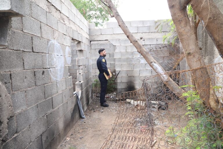 WhatsApp Image 2025-10-15 at 12.23.29 PM