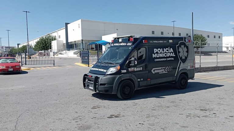 WhatsApp Image 2025-10-16 at 12.47.21 PM