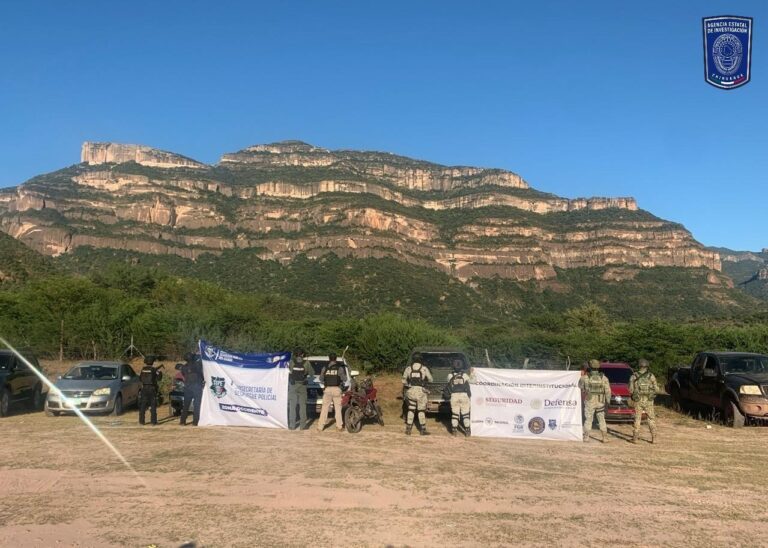 WhatsApp Image 2025-10-17 at 10.41.28 AM