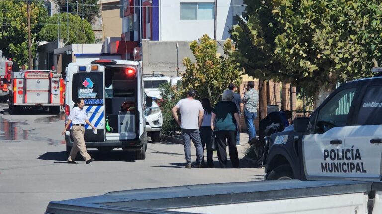 WhatsApp Image 2025-10-17 at 12.38.01 PM (1)