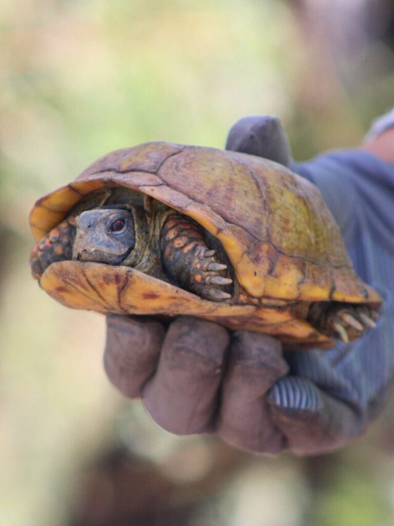 WhatsApp Image 2025-10-18 at 1.29.18 PM