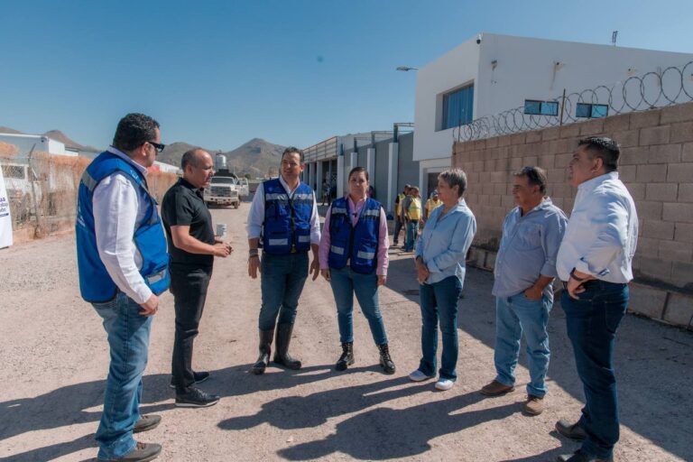 WhatsApp Image 2025-10-20 at 1.41.39 PM (1)