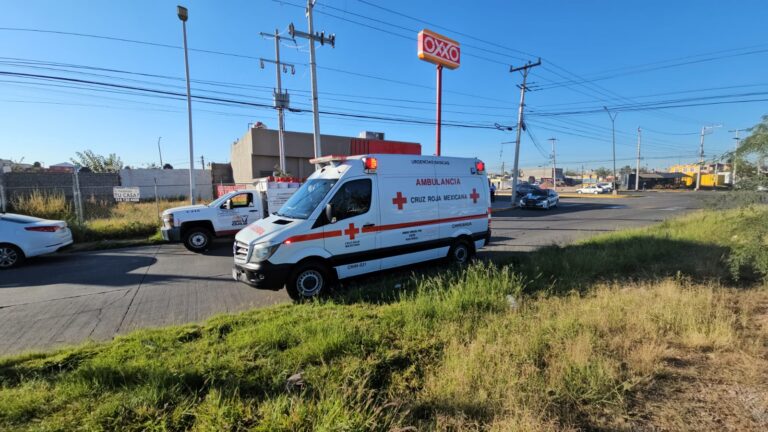 WhatsApp Image 2025-10-20 at 8.48.03 AM