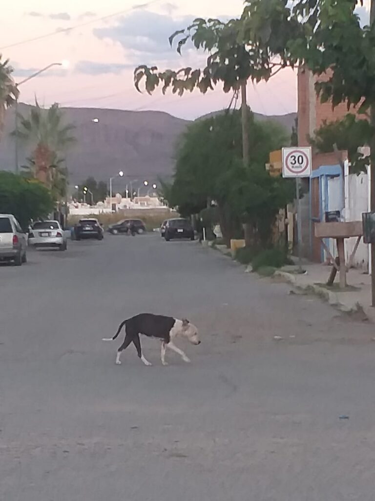 WhatsApp Image 2025-10-21 at 10.19.09 AM