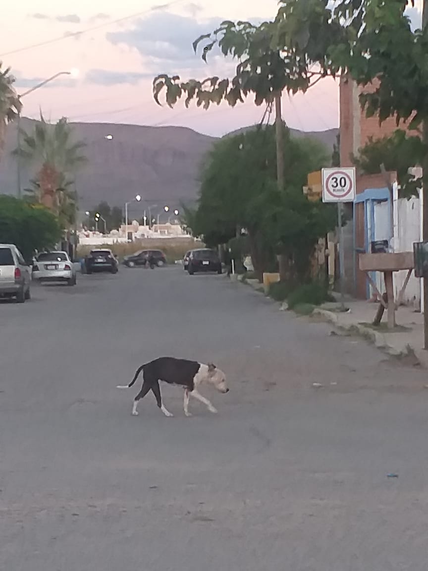 WhatsApp Image 2025-10-21 at 10.19.09 AM