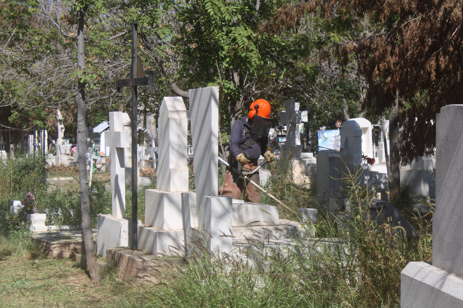 WhatsApp Image 2025-10-21 at 10.35.52 AM