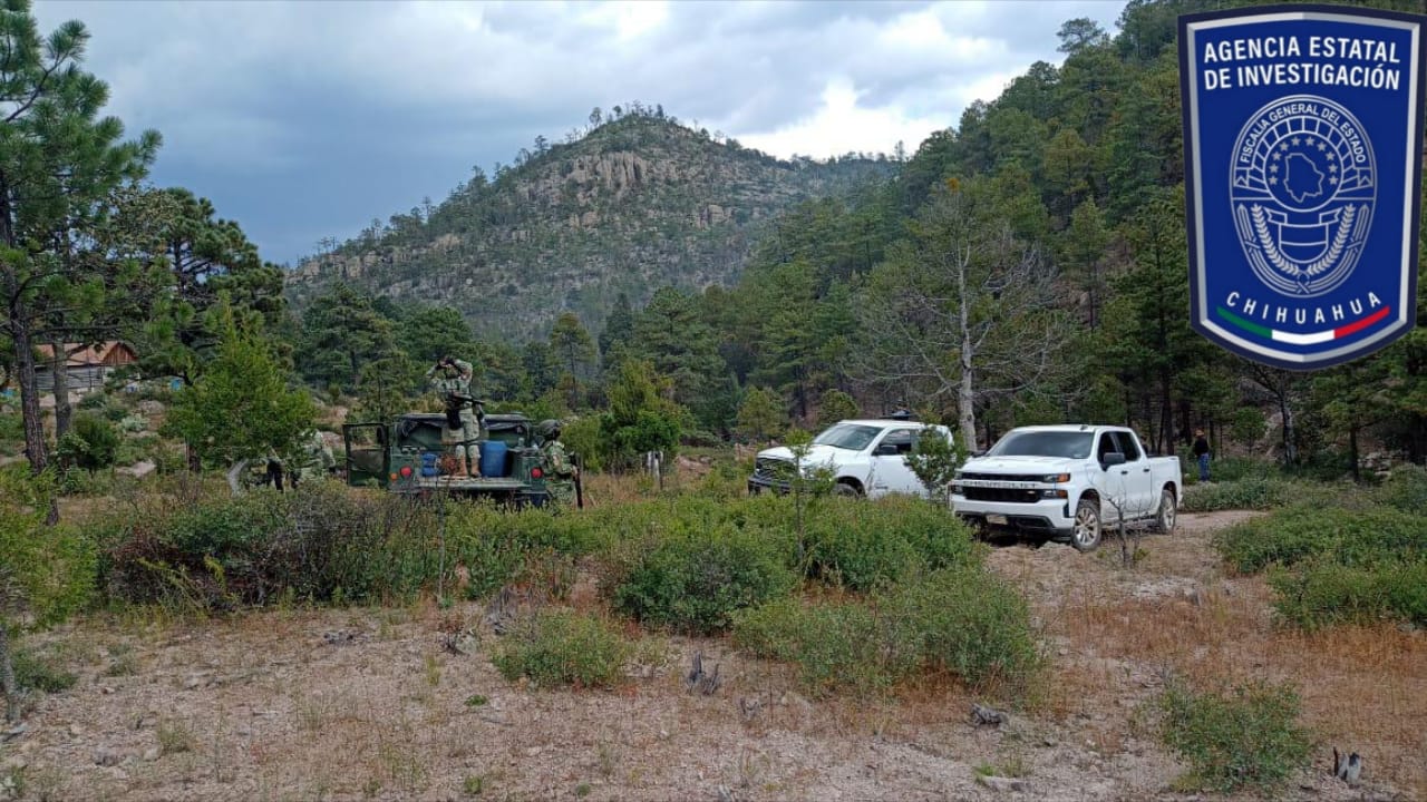 WhatsApp Image 2025-10-21 at 12.25.48 PM