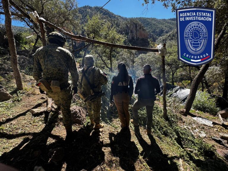 WhatsApp Image 2025-10-21 at 7.45.08 AM