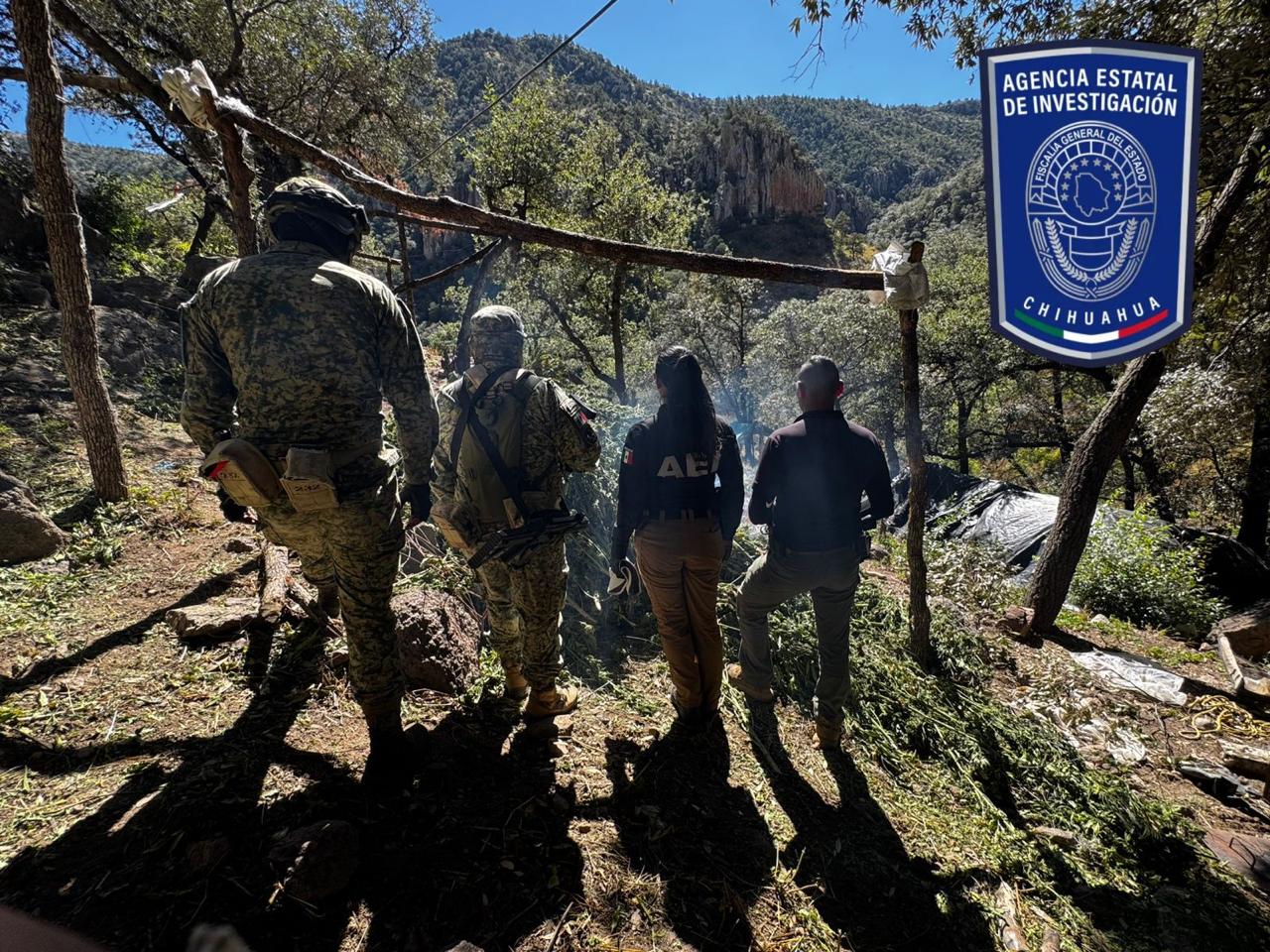 WhatsApp Image 2025-10-21 at 7.45.08 AM