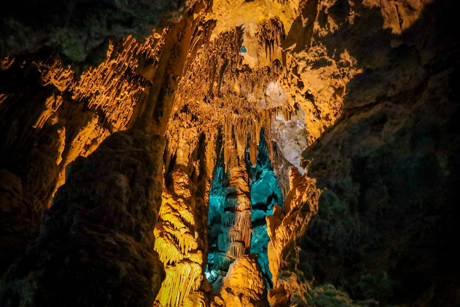 WhatsApp Image 2025-10-22 at 1.04.57 PM