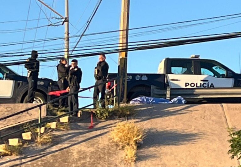 WhatsApp Image 2025-10-22 at 8.02.45 AM