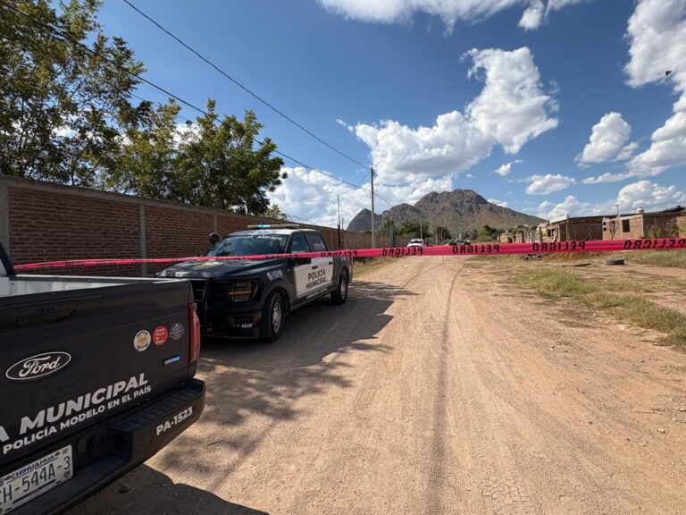 WhatsApp Image 2025-10-23 at 1.58.21 PM