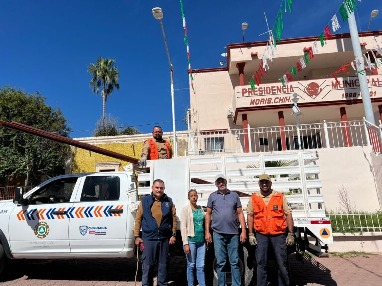 WhatsApp Image 2025-10-23 at 8.34.50 AM