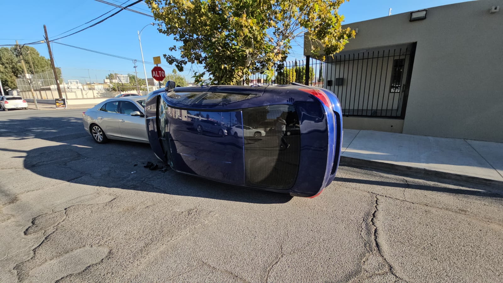 WhatsApp Image 2025-10-23 at 8.48.44 AM