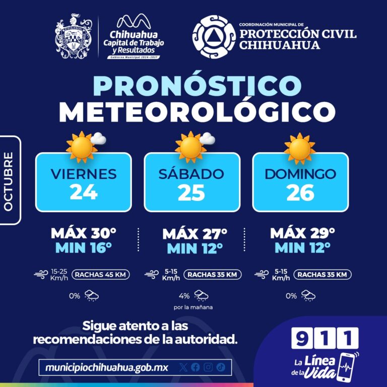 WhatsApp Image 2025-10-24 at 10.42.16 AM