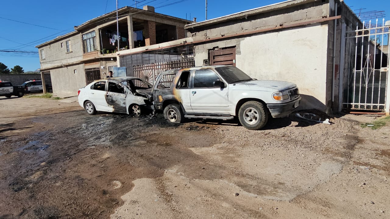 WhatsApp Image 2025-10-27 at 10.08.16 AM