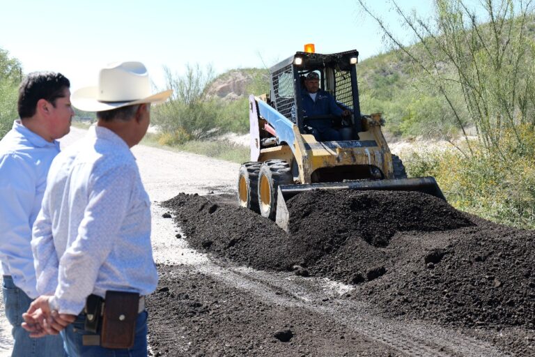 WhatsApp Image 2025-10-27 at 11.36.00 AM