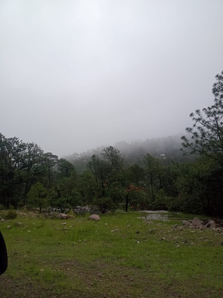 WhatsApp Image 2025-10-28 at 10.39.47 AM