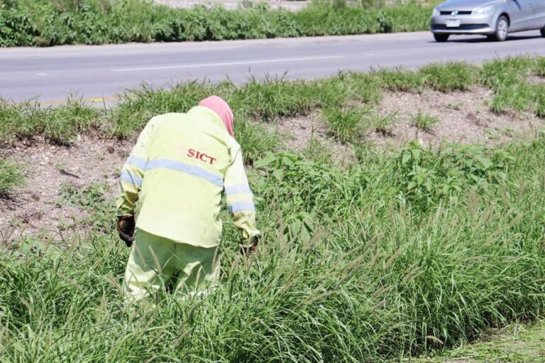 WhatsApp Image 2025-10-28 at 11.41.27 AM (1)