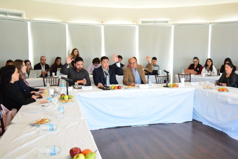 WhatsApp Image 2025-10-29 at 1.37.34 PM