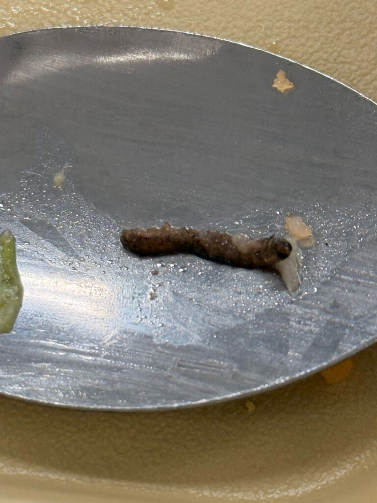 WhatsApp Image 2025-10-29 at 8.49.55 AM