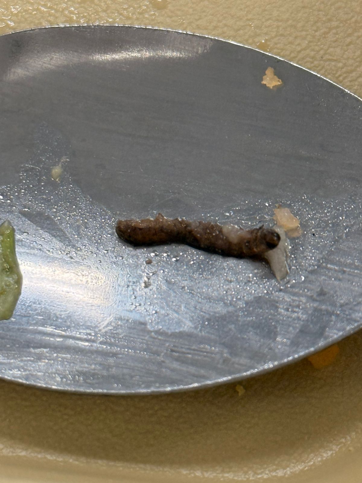 WhatsApp Image 2025-10-29 at 8.49.55 AM